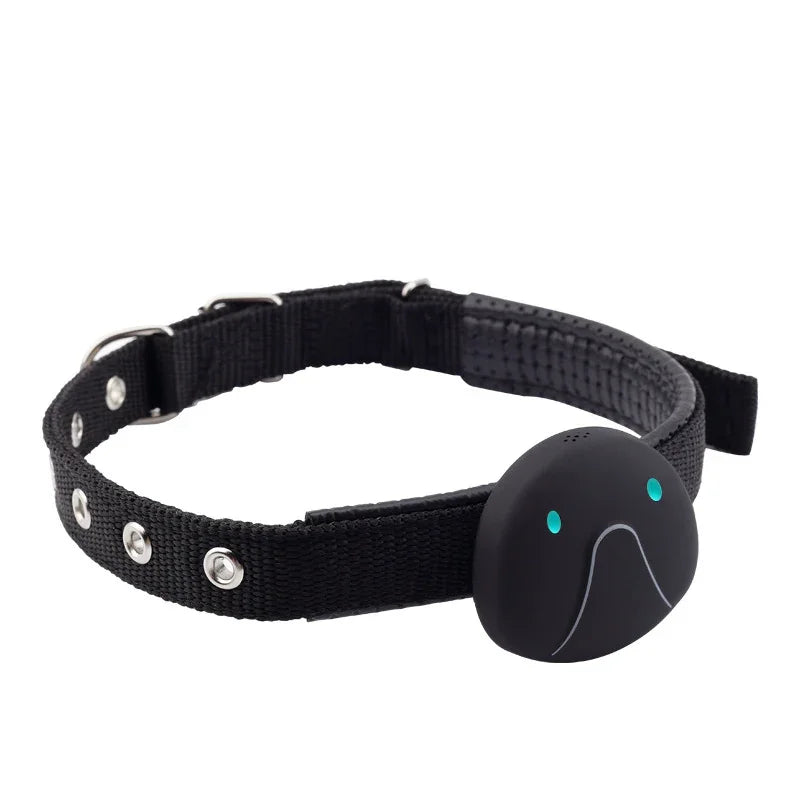 Smart collars