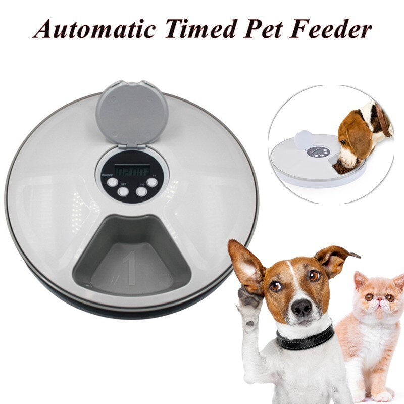 Automatic Six-Meal Pet Feeder Timer with Music Reminder for Cats & Dogs