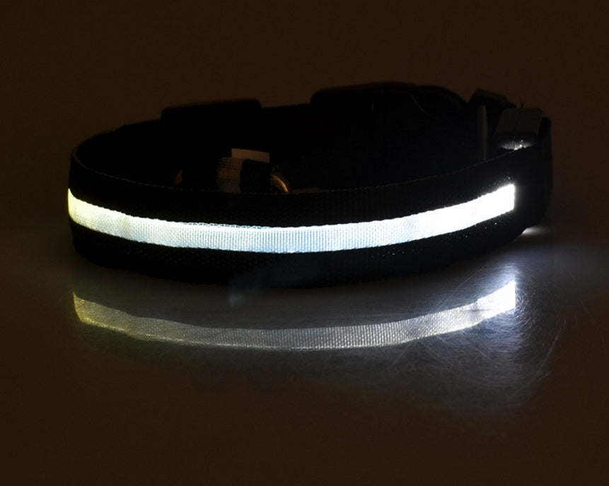 LED Night Safety Dog Collar