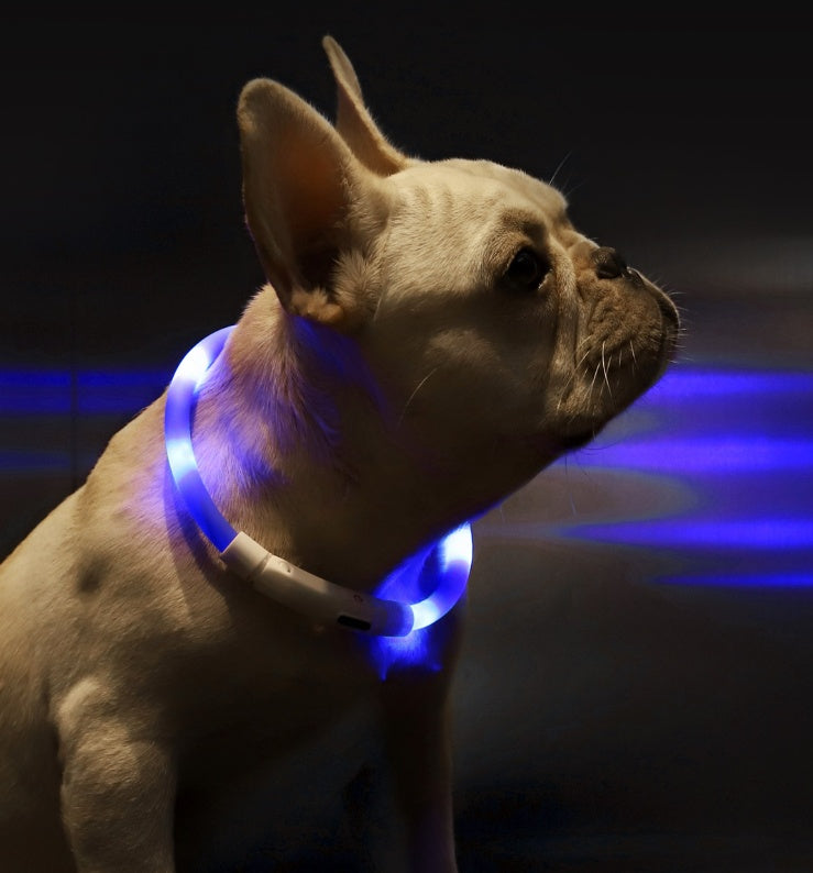 LED Pet Safety Collar – USB Rechargeable Anti-Lost Light Collar for Dogs