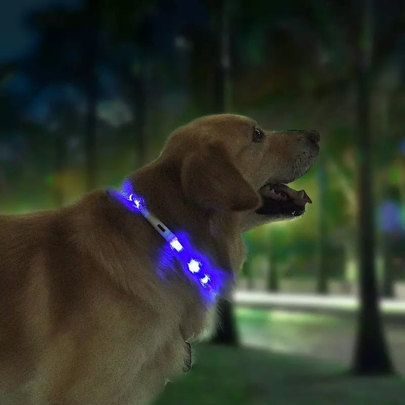 LED Pet Safety Collar – USB Rechargeable Anti-Lost Light Collar for Dogs