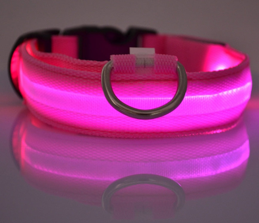 LED Night Safety Dog Collar