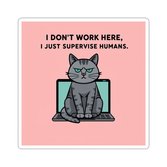 Sticker - Cat Computer Meme Sticker