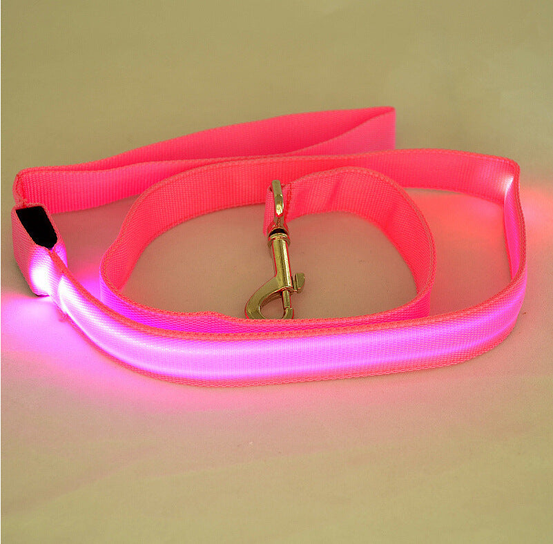Toytigris LED Dog Leash