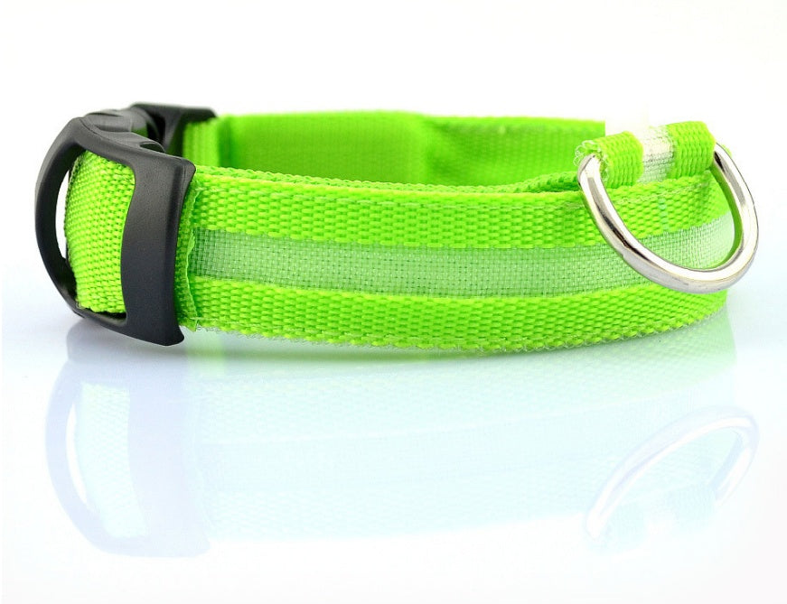 LED Night Safety Dog Collar