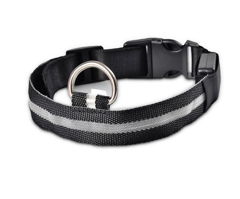LED Night Safety Dog Collar