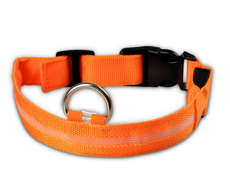 LED Night Safety Dog Collar