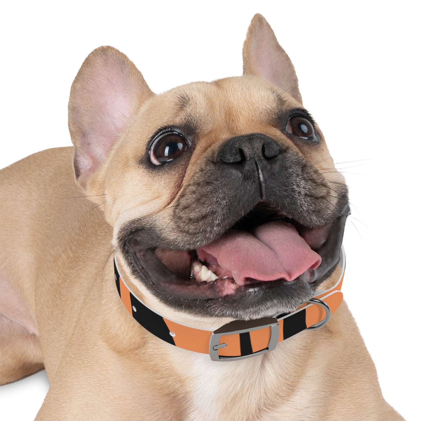 Stylish Tiger Striped Pet Collar