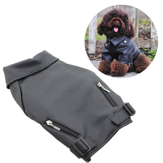 Winter Leather Dog Jacket - Stylish Clothes
