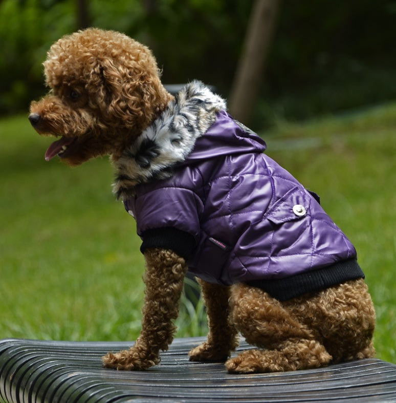 Autumn and Winter Fur Dog Coat