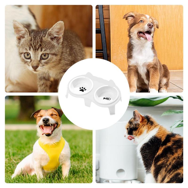 Elevated Tilted Cat Food & Water Bowl Ceramic Pet Feeding Set