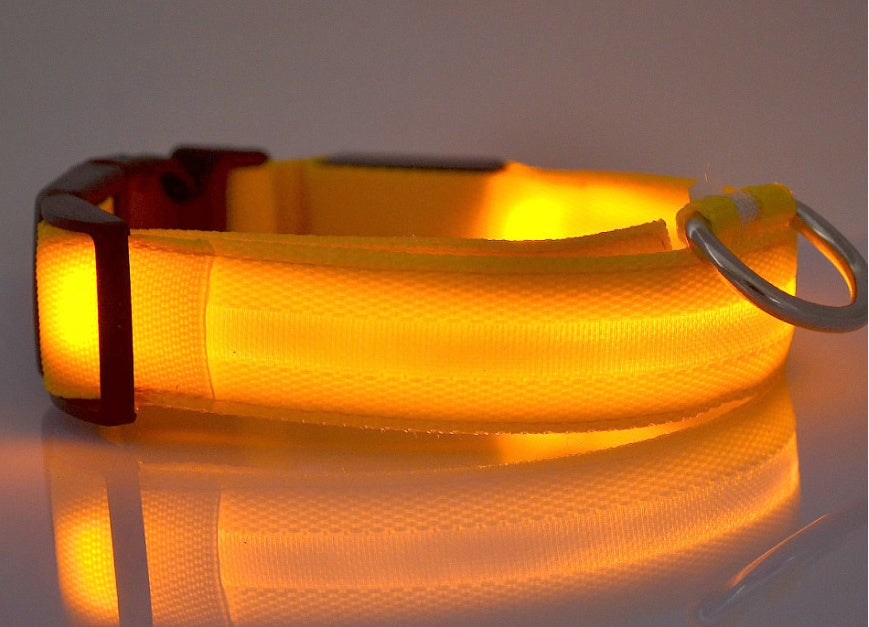 LED Night Safety Dog Collar