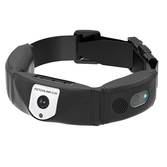 C10 Multifunctional Smart Pet Collar Health Monitoring