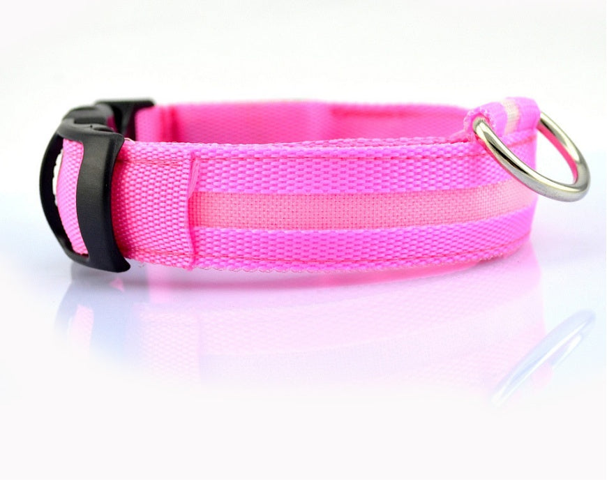 LED Night Safety Dog Collar