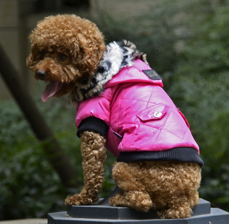 Autumn and Winter Fur Dog Coat