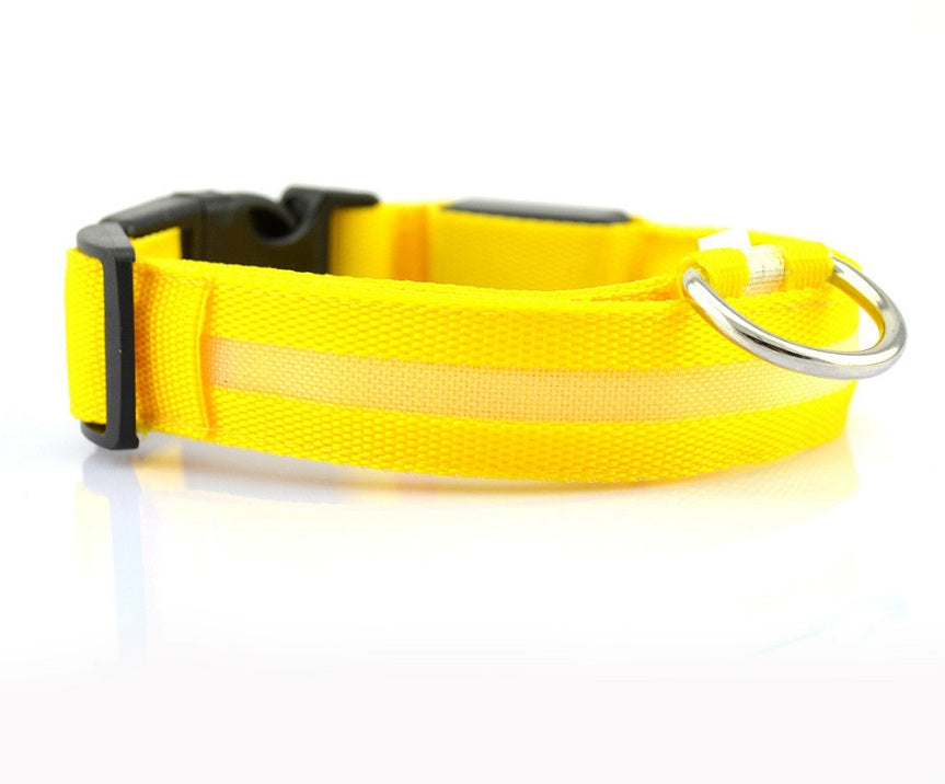 LED Night Safety Dog Collar