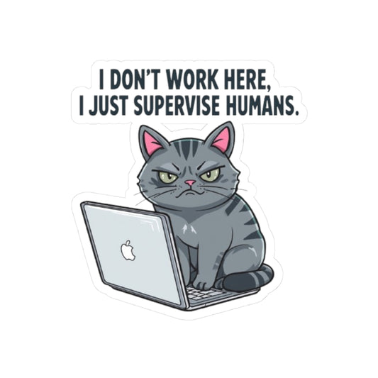 Funny Cat Supervisor Stickers, Cute Laptop Decals, Cat Lover Gifts, Office Humor, Pet Themed Decor, Quirky Workspace Accessories
