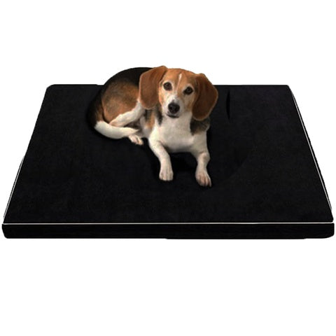 Arthur Orthopedic Memory Foam Dog Bed – Large & Senior Dogs