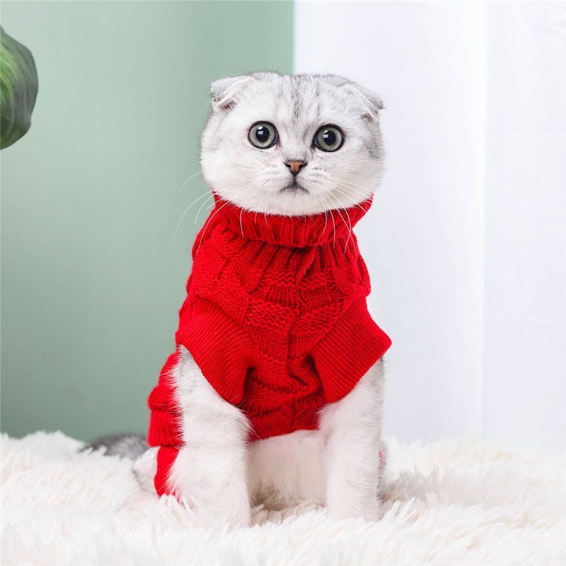 Autumn and Winter Knitted Cat Sweater