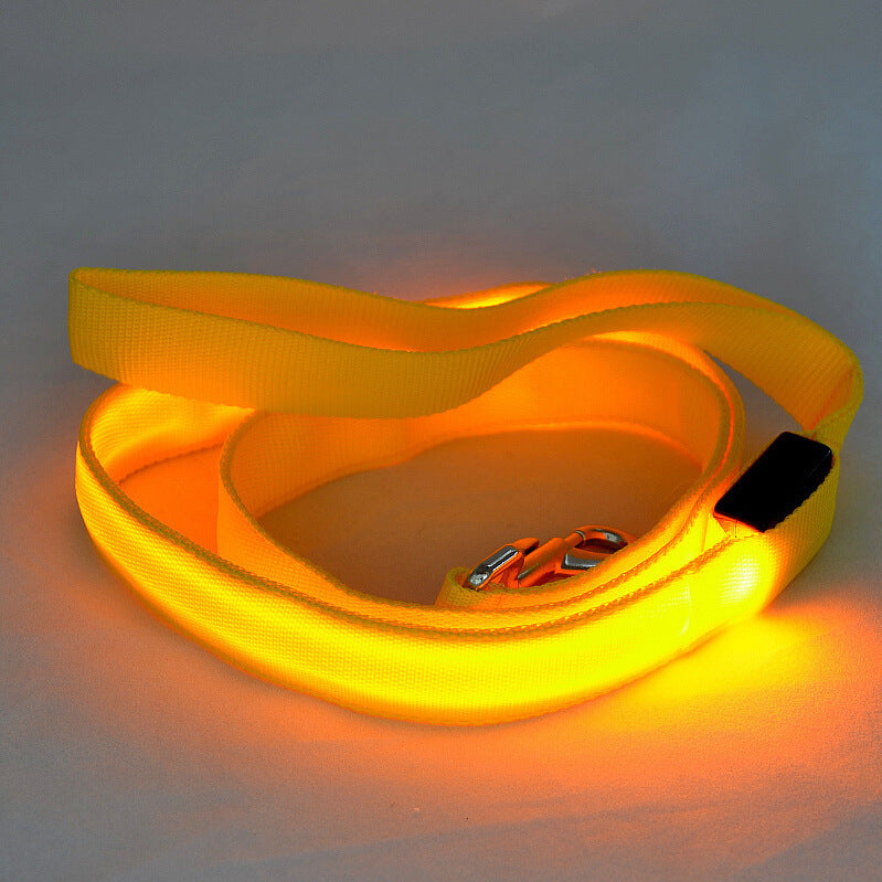 Toytigris LED Dog Leash
