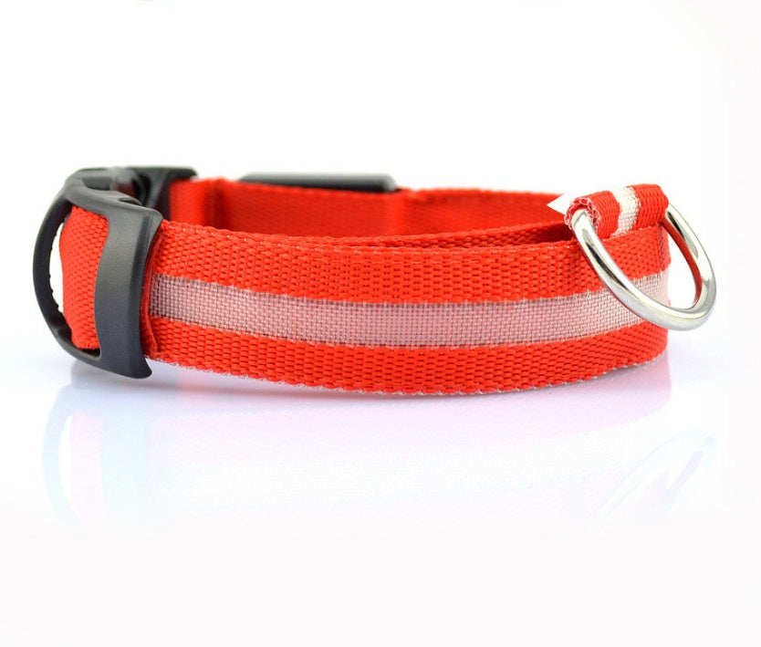 LED Night Safety Dog Collar