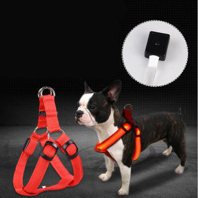 LED Leuchtendes Hundegeschirr