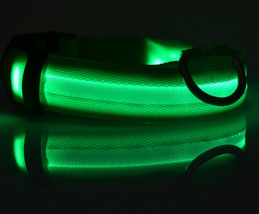LED Night Safety Dog Collar