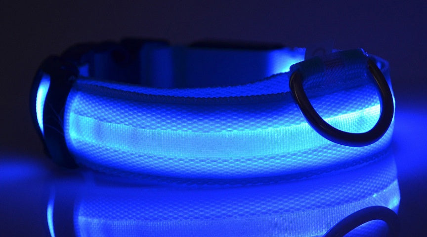 LED Night Safety Dog Collar