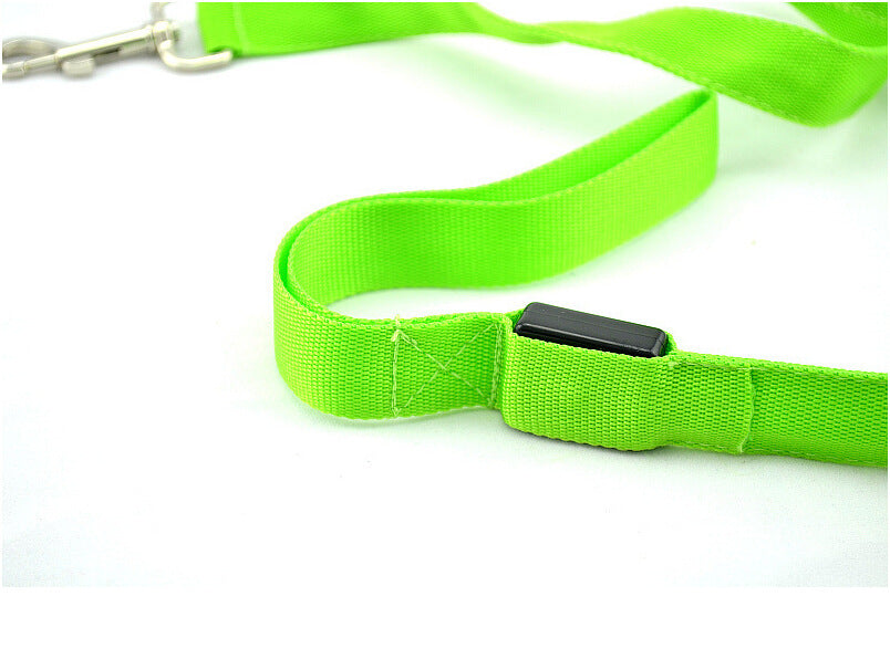Toytigris LED Dog Leash