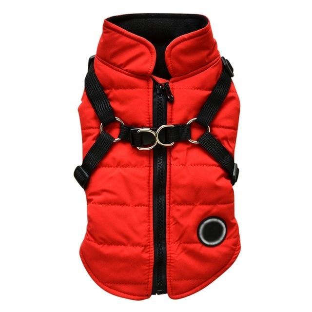 Warm Dog Zipper Jacket – Adjustable Leash Harness for Autumn & Winter