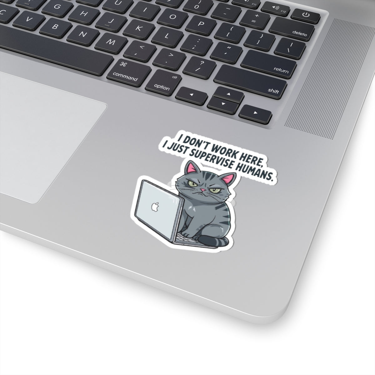 Funny Cat Supervisor Stickers, Cute Laptop Decals, Cat Lover Gifts, Office Humor, Pet Themed Decor, Quirky Workspace Accessories