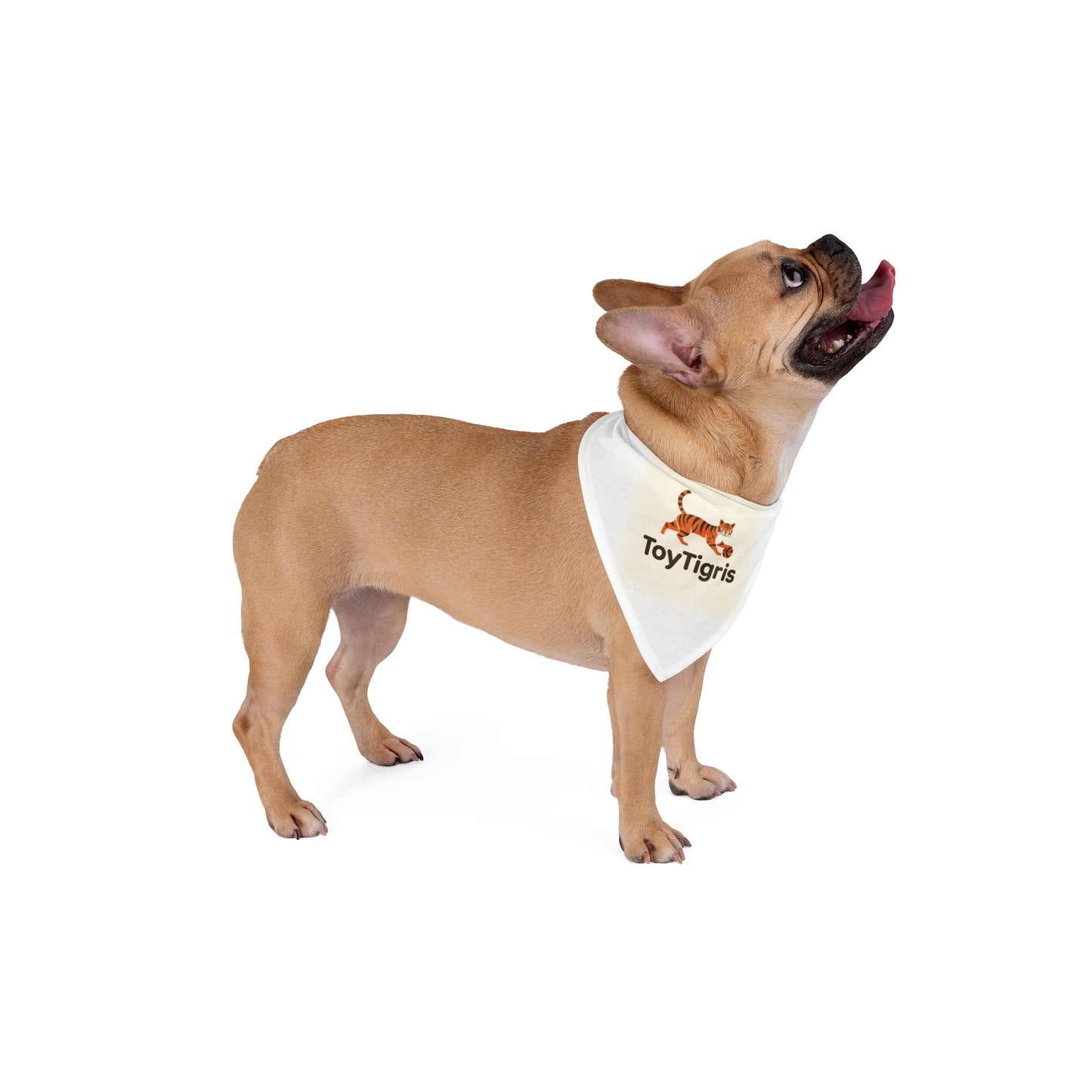 Pet Bandana - Toytigris Design