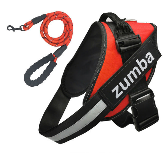 Personalized Reflective Breathable Adjustable Dog Harness and Leash Set