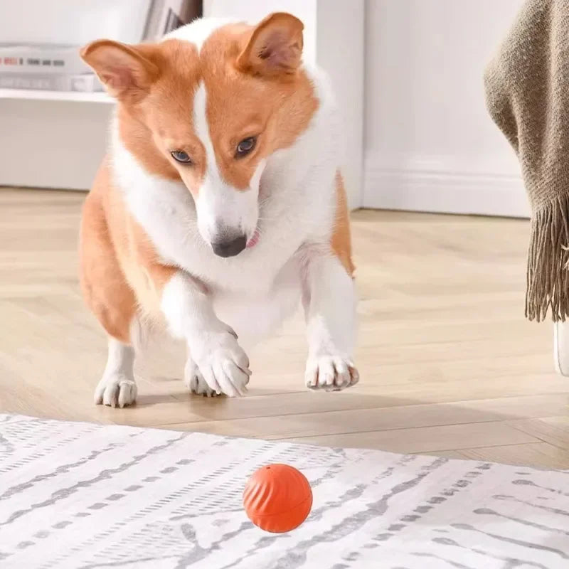 Automatic Dog Toy Ball Jumping And Rotating