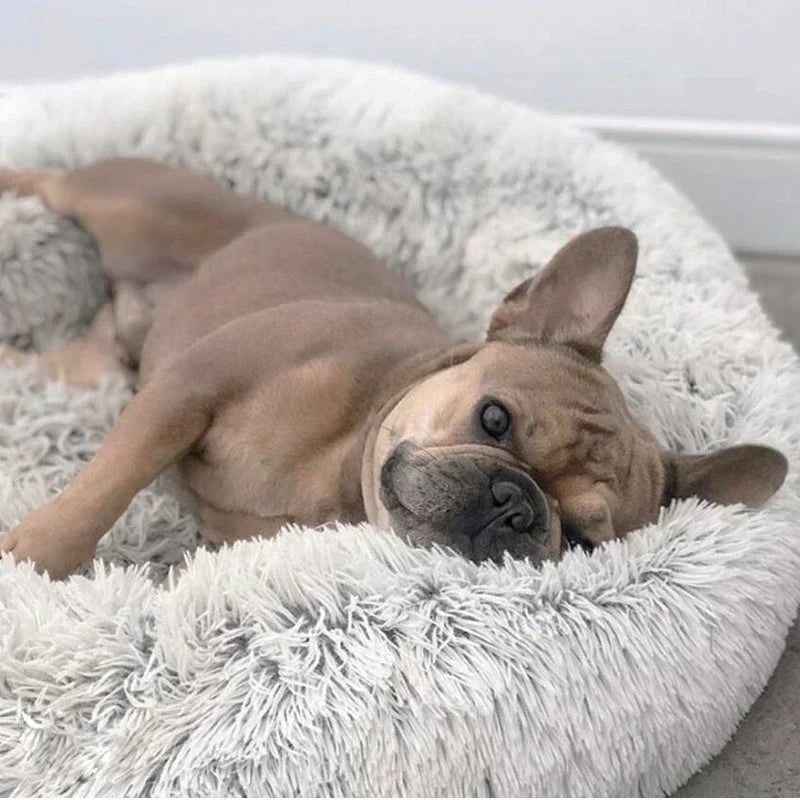 Calm Dog Bed Round Plush
