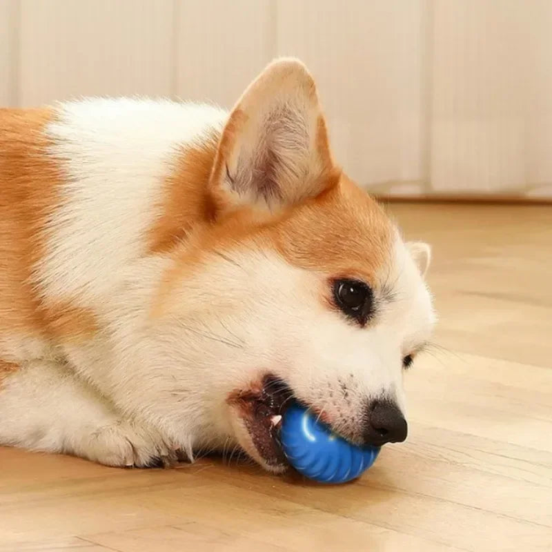 Automatic Dog Toy Ball Jumping And Rotating