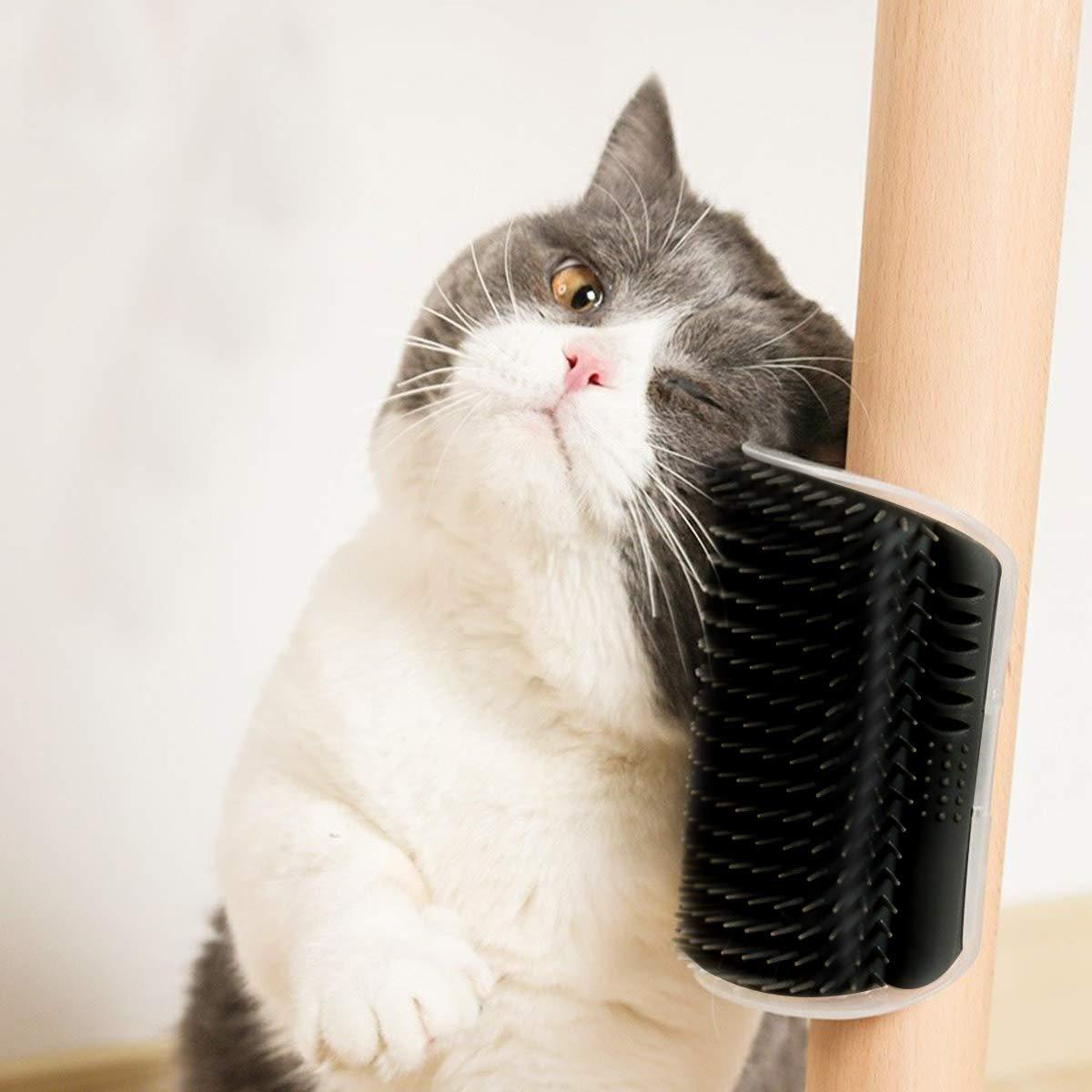 Cat Self-Groomer Corner Wall Hair-Removing Massage Brush