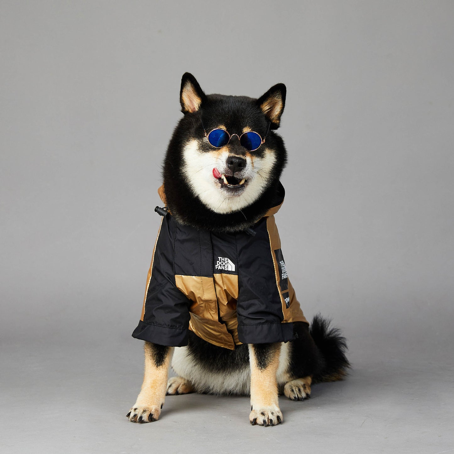 Large Dog Raincoat – Waterproof Pet Jacket