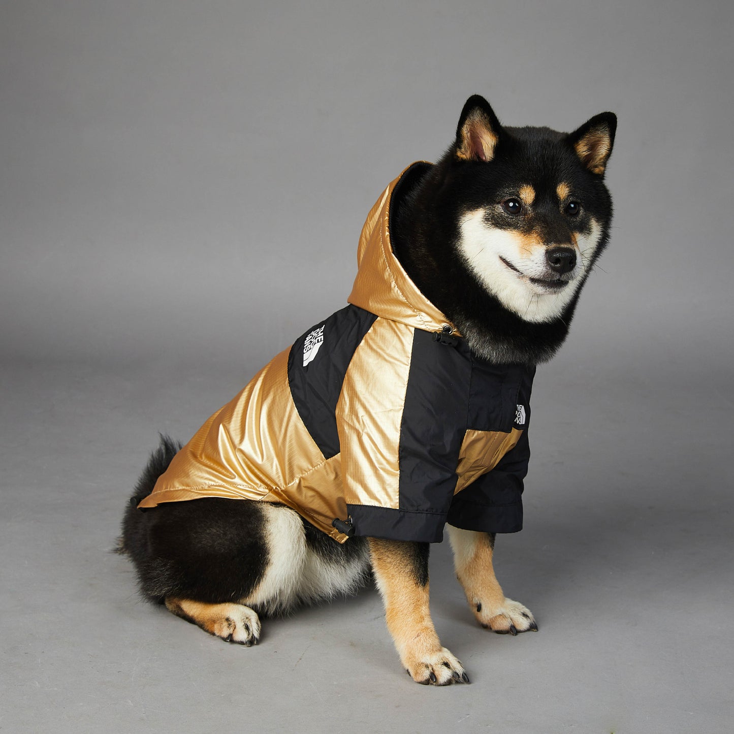 Large Dog Raincoat – Waterproof Pet Jacket