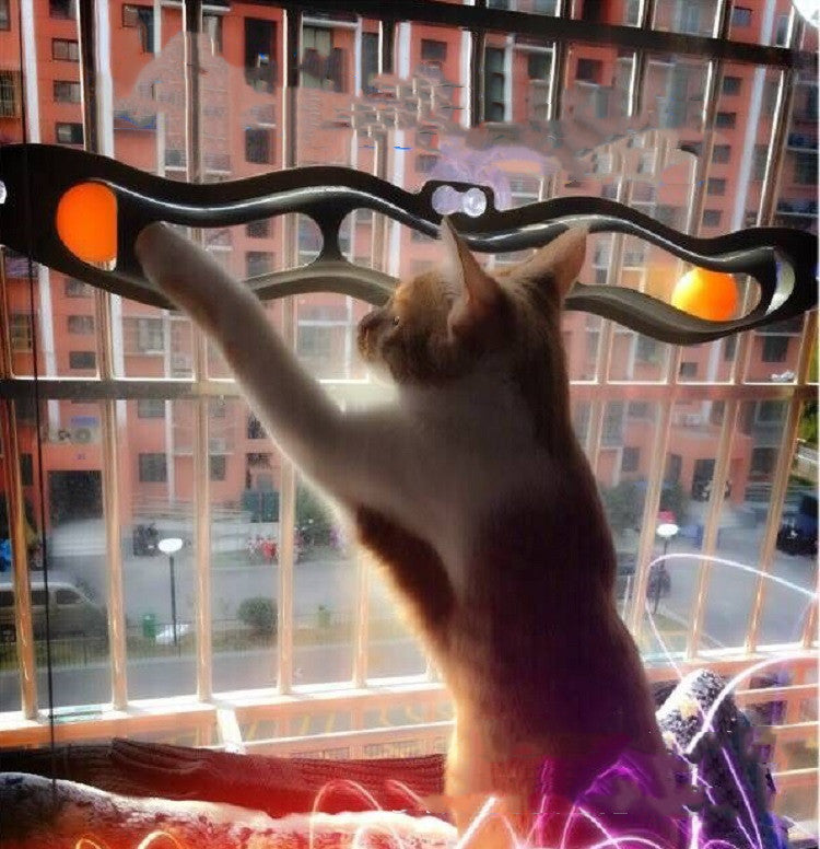 Window Cat Ball Track Toy