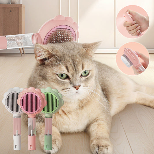2 In 1 Water Spray Comb