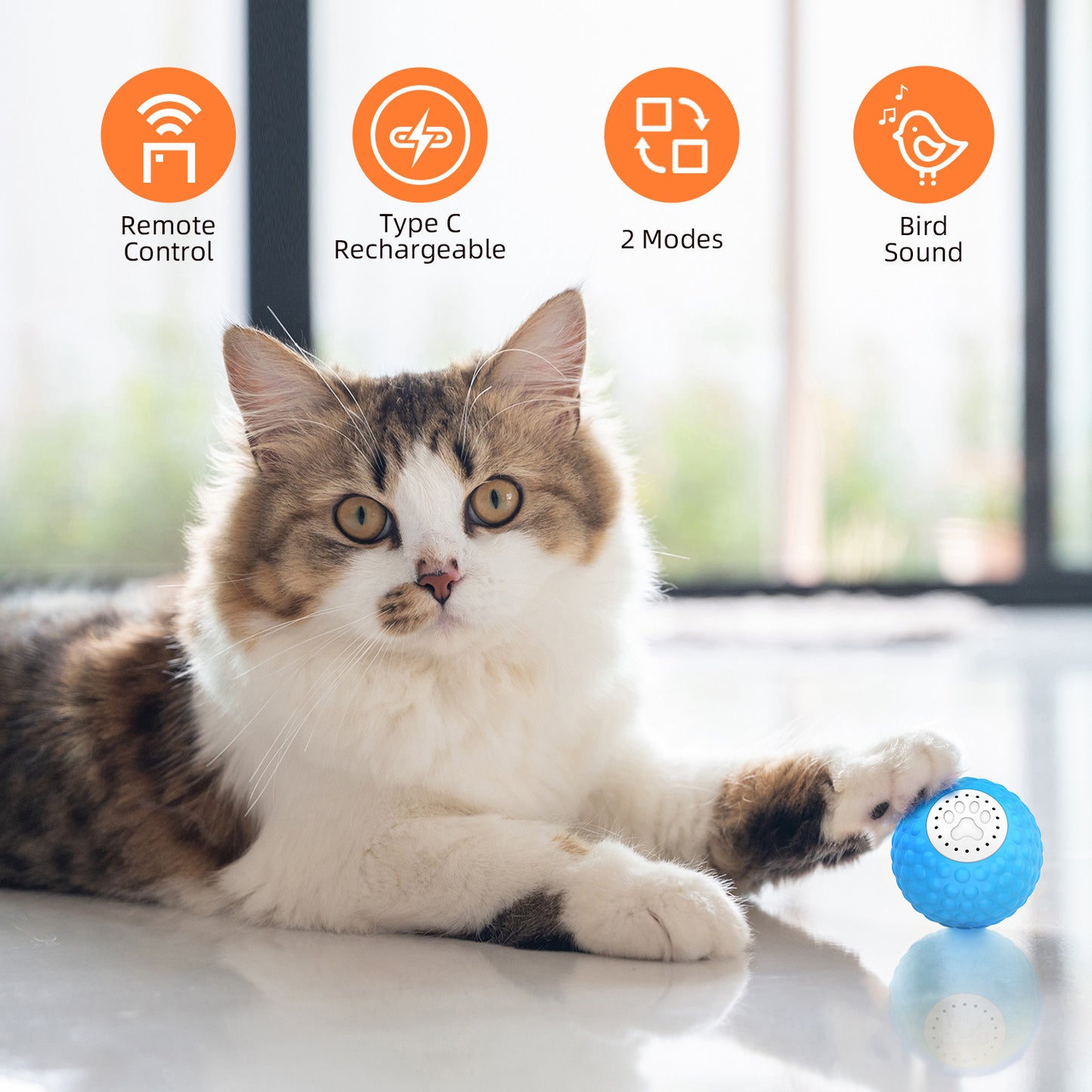 Remote Control Sound Cat Toy Ball Interactive Electronic Cat Toy