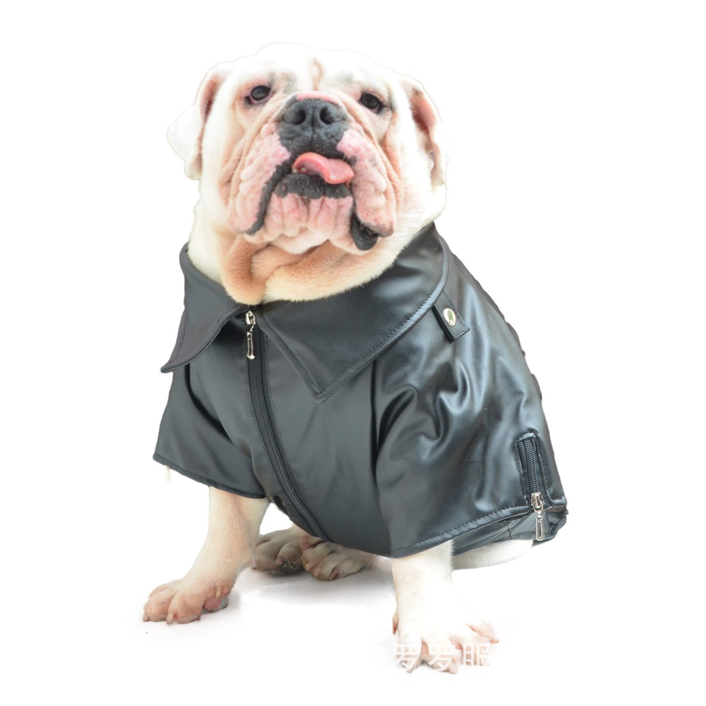 Dog Winter Leather Jacket - Stylish Big Dog Clothes
