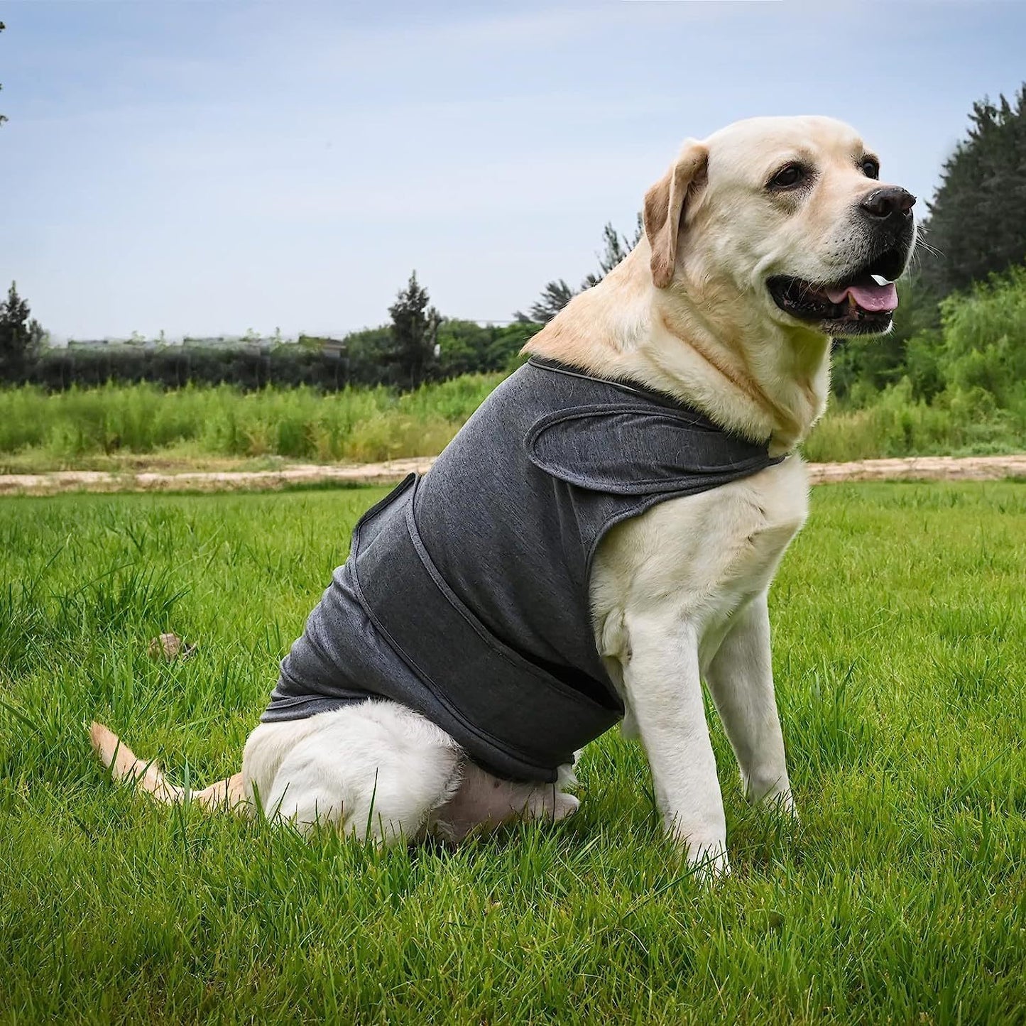 Classic Dog Anxiety Jacket – Breathable Thunder Vest to Calm Stress & Fear