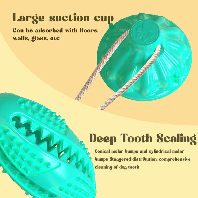 Suction Cup Pull Rope Leaking Pet Toy Ball Tpr Molar Teeth Cleaning Vent Ball Dog Toy Ball