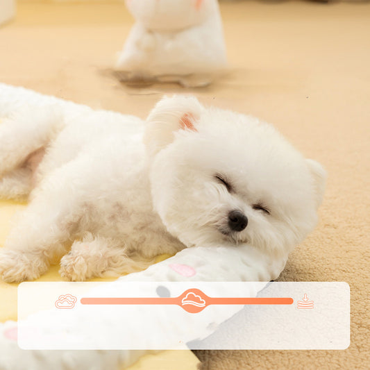 Bedsure Orthopädisches Hundebett