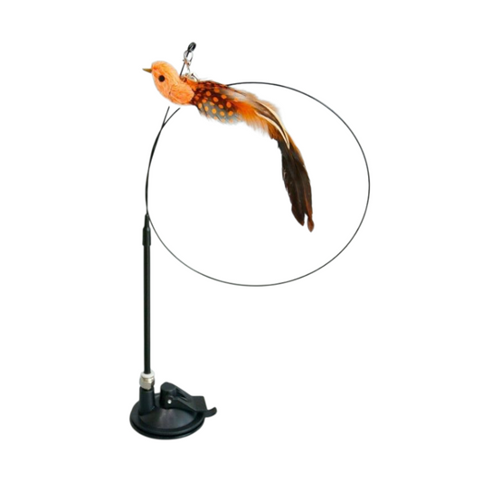 Handsfree Long Stick Feather Cat Toy Interactive Play for Cats