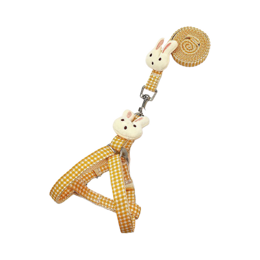 Small Cute Dog Harness & Leash