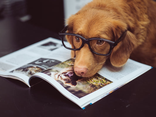 black framed eyeglasses