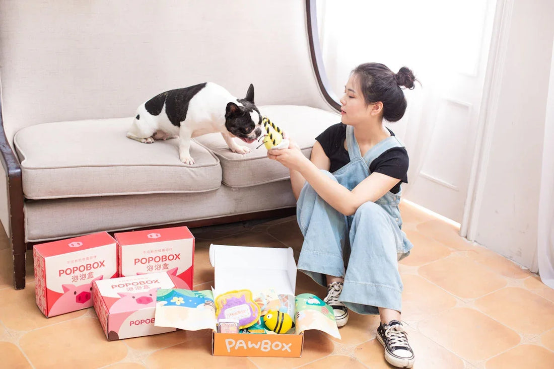 Woman and dog enjoying toys from a pet box.